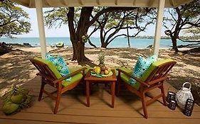 Lava Lava Beach Club